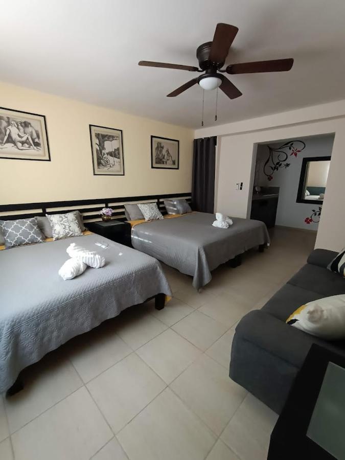Nuevo! Casa Sofia Lujoso & Super Centrico