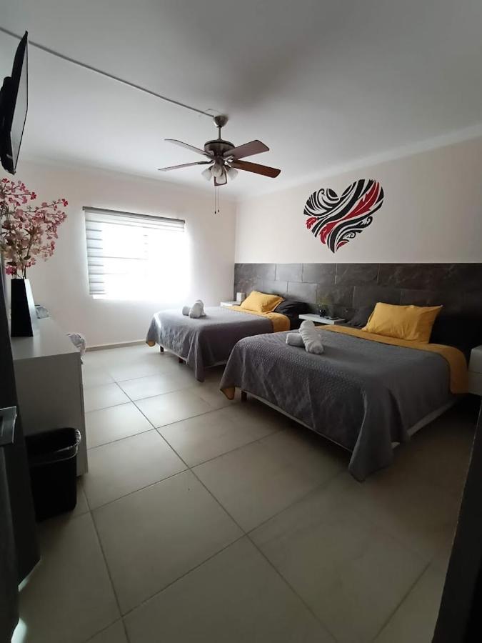 Apartment Nuevo! Casa Sofia Lujoso & Super Centrico